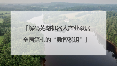 解码芜湖机器人产业跃居全国第七的“数智税钥”