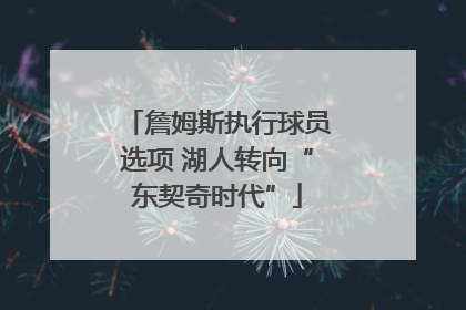詹姆斯执行球员选项 湖人转向“东契奇时代”
