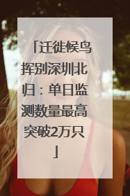 迁徙候鸟挥别深圳北归：单日监测数量最高突破2万只