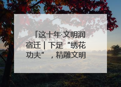 这十年·文明润宿迁｜下足“绣花功夫”，精雕文明城市品质