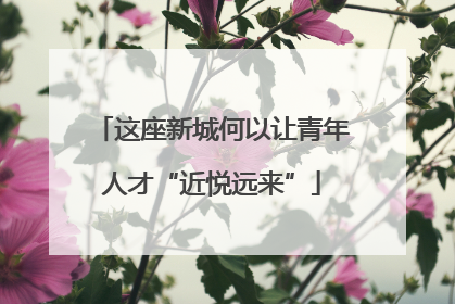 这座新城何以让青年人才“近悦远来”