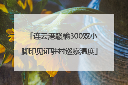 连云港赣榆300双小脚印见证驻村巡察温度