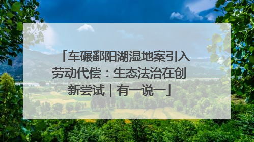 车碾鄱阳湖湿地案引入劳动代偿：生态法治在创新尝试｜有一说一