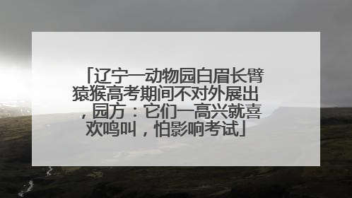 辽宁一动物园白眉长臂猿猴高考期间不对外展出，园方：它们一高兴就喜欢鸣叫，怕影响考试