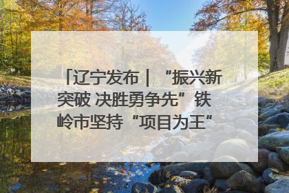辽宁发布｜“振兴新突破 决胜勇争先”铁岭市坚持“项目为王”推进经济高质量发展