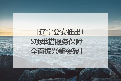 辽宁公安推出15项举措服务保障全面振兴新突破