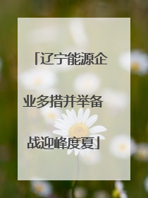 辽宁能源企业多措并举备战迎峰度夏