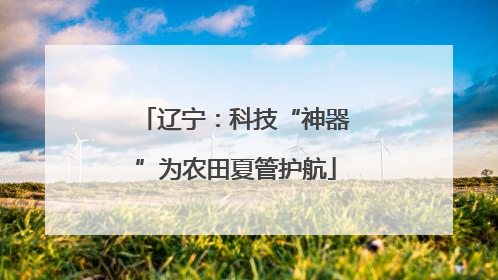 辽宁：科技“神器”为农田夏管护航