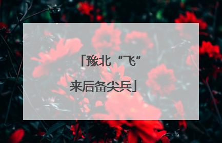 豫北“飞”来后备尖兵