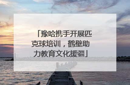 豫哈携手开展匹克球培训，鹤壁助力教育文化援疆