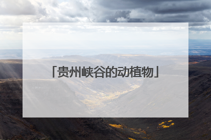 贵州峡谷的动植物