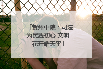 贺州中院：司法为民践初心 文明花开耀天平