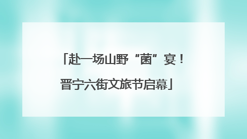 赴一场山野“菌”宴！晋宁六街文旅节启幕
