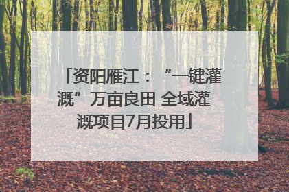资阳雁江：“一键灌溉”万亩良田 全域灌溉项目7月投用