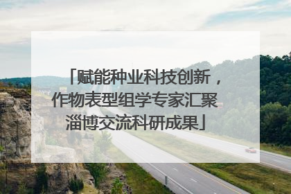 赋能种业科技创新，作物表型组学专家汇聚淄博交流科研成果
