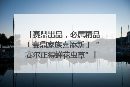 赛鼎出品，必属精品！赛鼎家族喜添新丁“赛尔正得蝉花虫草”