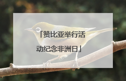 赞比亚举行活动纪念非洲日