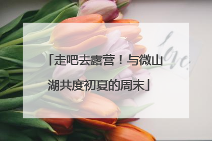 走吧去露营！与微山湖共度初夏的周末