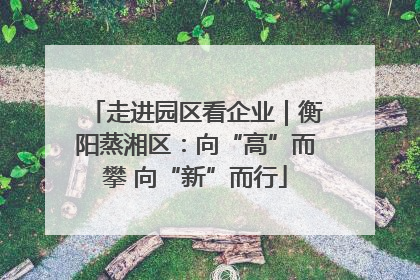 走进园区看企业｜衡阳蒸湘区：向“高”而攀 向“新”而行