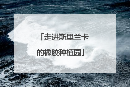 走进斯里兰卡的橡胶种植园