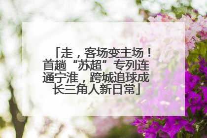 走，客场变主场！首趟“苏超”专列连通宁淮，跨城追球成长三角人新日常
