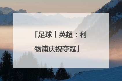 足球丨英超：利物浦庆祝夺冠