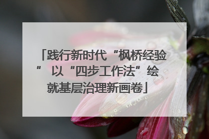 践行新时代“枫桥经验” 以“四步工作法”绘就基层治理新画卷