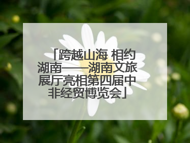 跨越山海 相约湖南——湖南文旅展厅亮相第四届中非经贸博览会