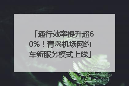 通行效率提升超60%！青岛机场网约车新服务模式上线