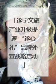 遂宁文旅产业升级提速 “遂心礼”品牌外宣战略启动