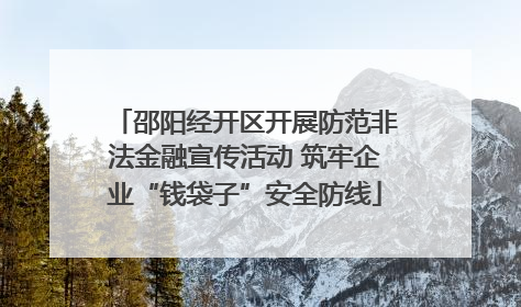 邵阳经开区开展防范非法金融宣传活动 筑牢企业“钱袋子”安全防线