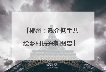 郴州：政企携手共绘乡村振兴新图景