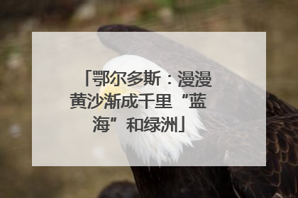鄂尔多斯：漫漫黄沙渐成千里“蓝海”和绿洲
