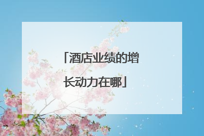 酒店业绩的增长动力在哪