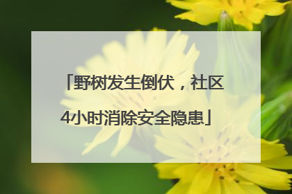 野树发生倒伏，社区4小时消除安全隐患