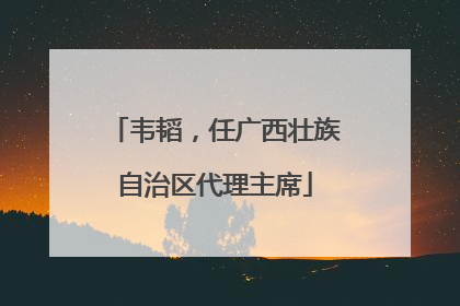韦韬，任广西壮族自治区代理主席