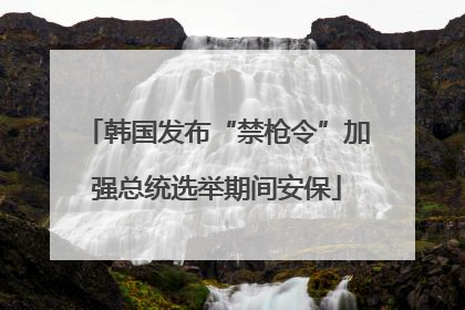 韩国发布“禁枪令”加强总统选举期间安保