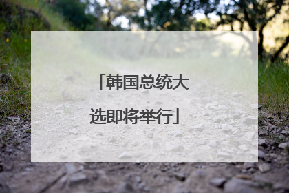韩国总统大选即将举行