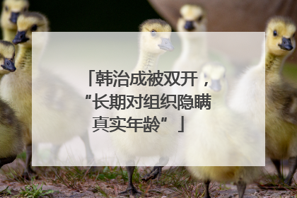 韩治成被双开，“长期对组织隐瞒真实年龄”