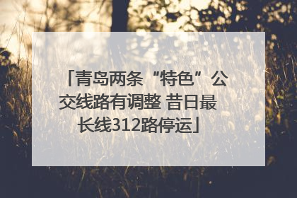 青岛两条“特色”公交线路有调整 昔日最长线312路停运