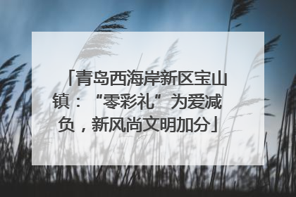 青岛西海岸新区宝山镇：“零彩礼”为爱减负，新风尚文明加分