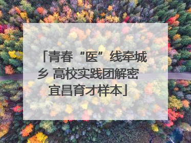 青春“医”线牵城乡 高校实践团解密宜昌育才样本