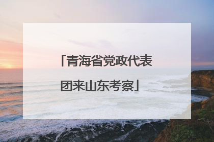 青海省党政代表团来山东考察