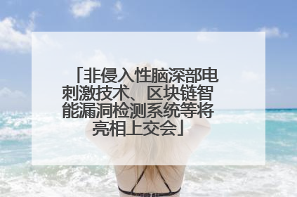 非侵入性脑深部电刺激技术、区块链智能漏洞检测系统等将亮相上交会