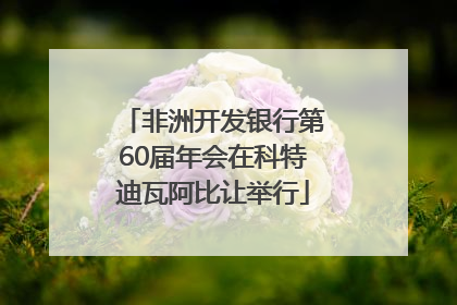 非洲开发银行第60届年会在科特迪瓦阿比让举行