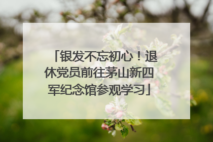 银发不忘初心！退休党员前往茅山新四军纪念馆参观学习