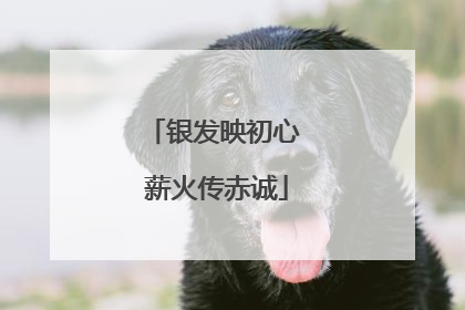银发映初心 薪火传赤诚