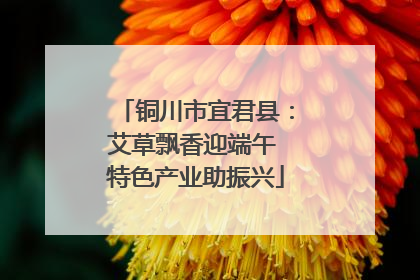铜川市宜君县：艾草飘香迎端午 特色产业助振兴