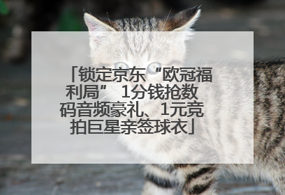 锁定京东“欧冠福利局” 1分钱抢数码音频豪礼、1元竞拍巨星亲签球衣