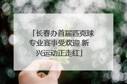 长春办首届匹克球专业赛事受欢迎 新兴运动正走红
